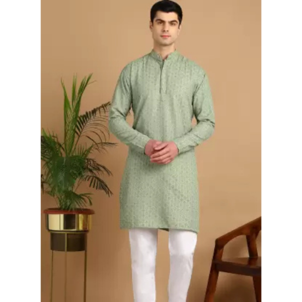 Men Chikan Embroidery Cotton Blend Straight Kurta  (Light Green)
