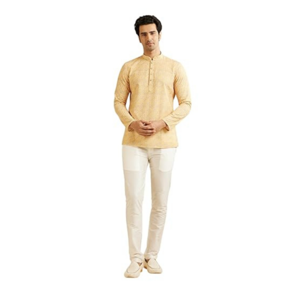 Men's Cotton Blend Chikankari Printed Short Kurta